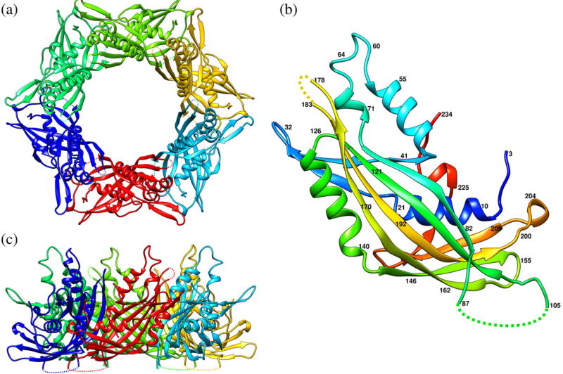 Fig. 2