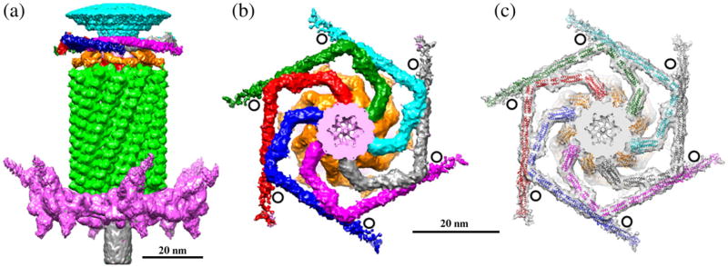 Fig. 8