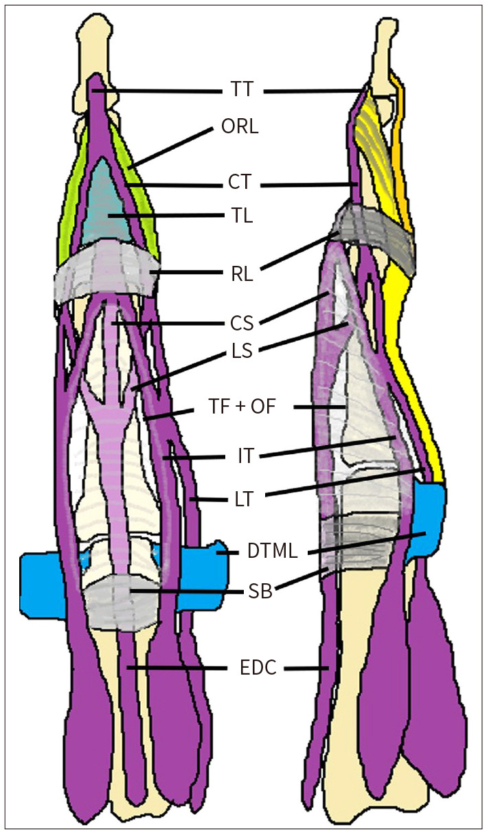 Fig. 10