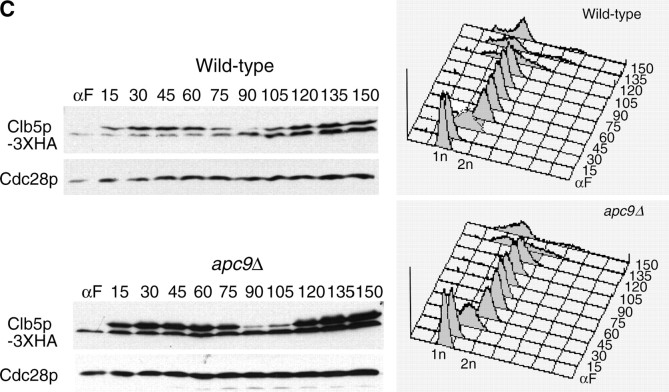 Figure 7.—