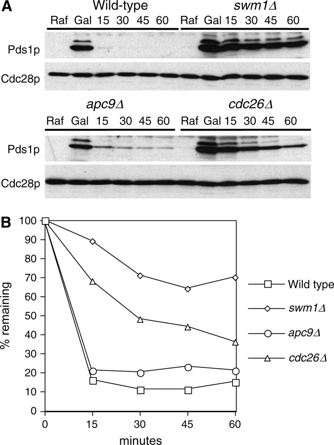 Figure 4.—