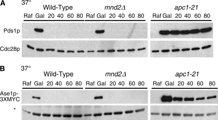 Figure 3.—