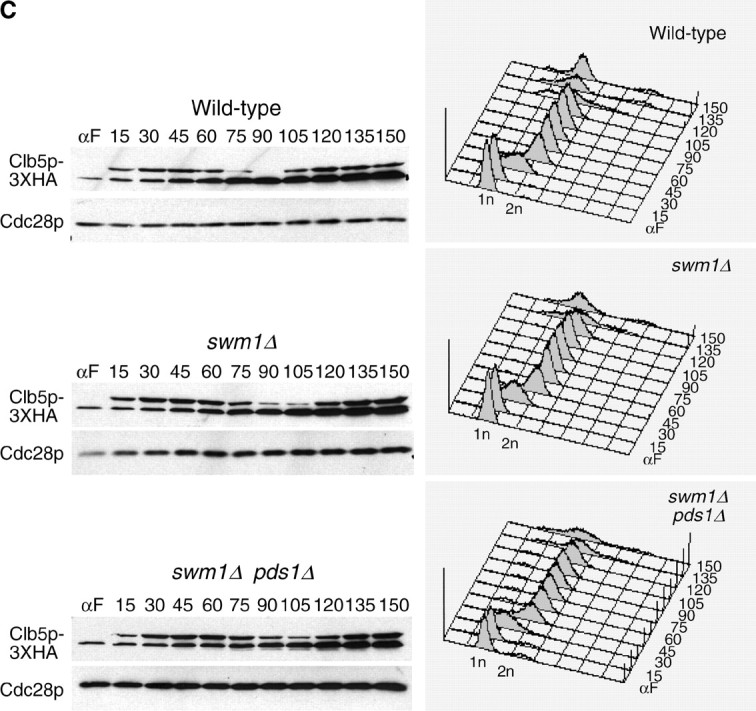 Figure 5.—