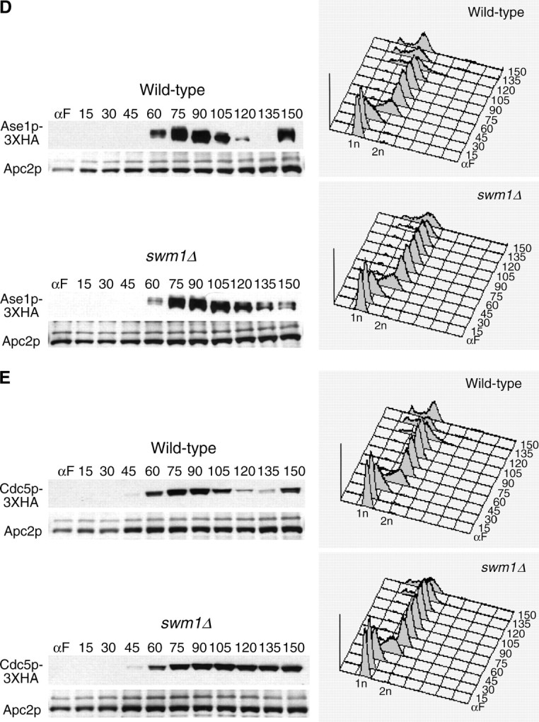 Figure 5.—