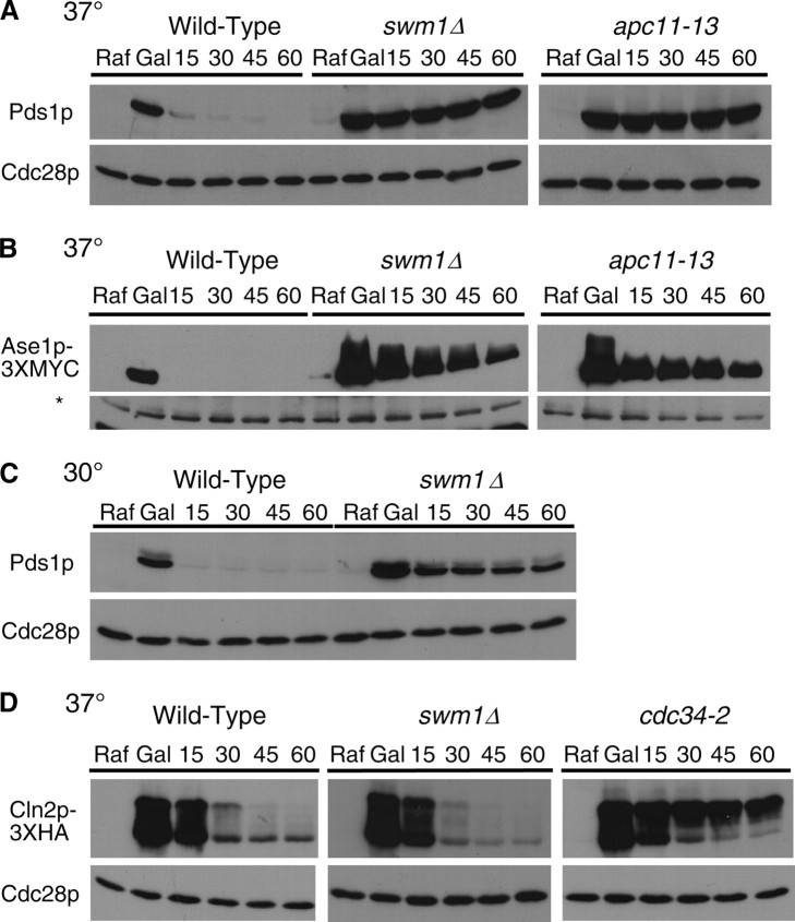 Figure 2.—