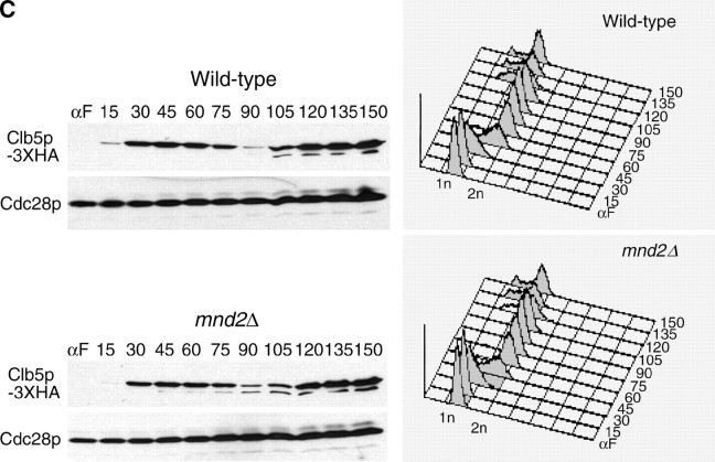 Figure 6.—