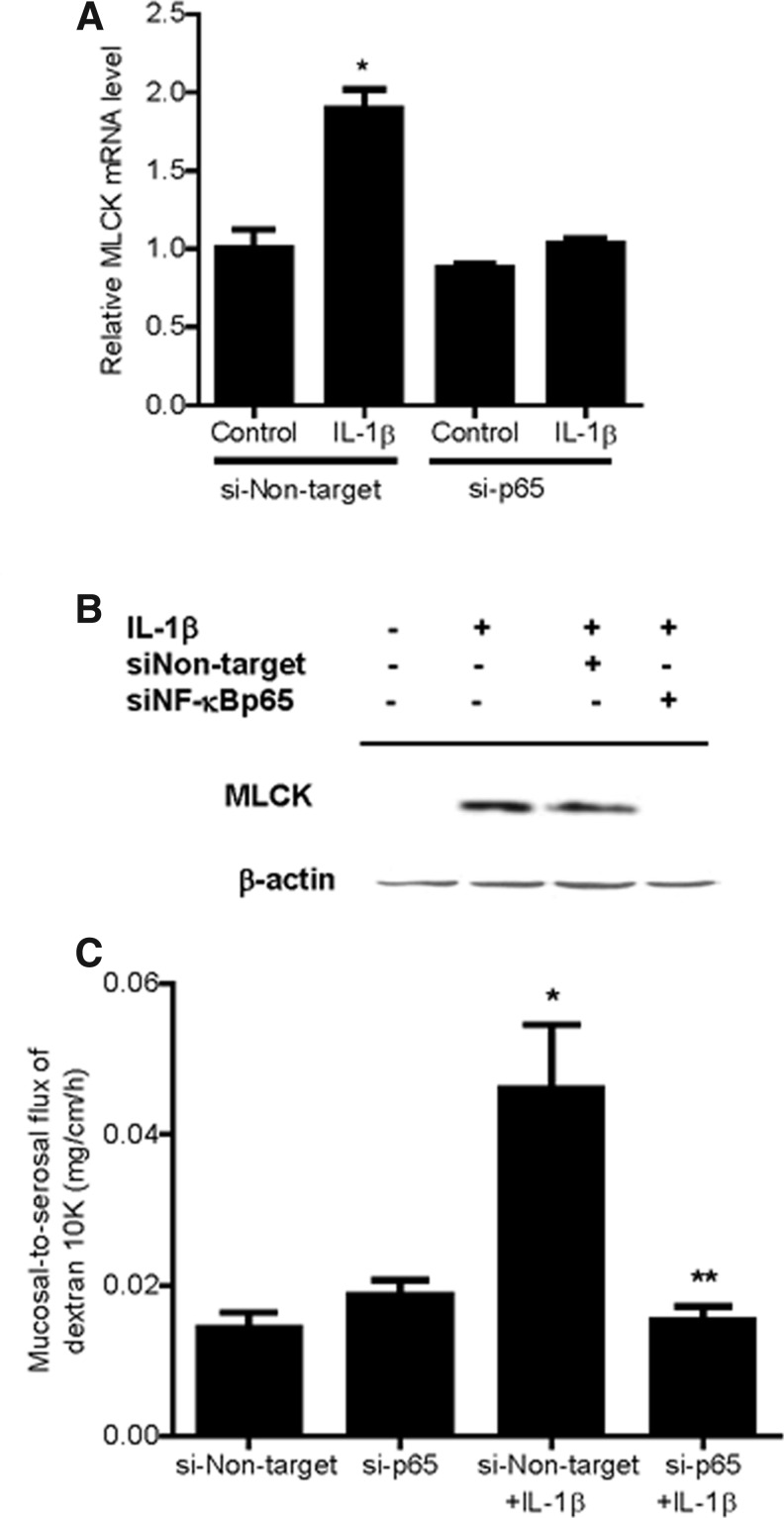 FIG. 7.