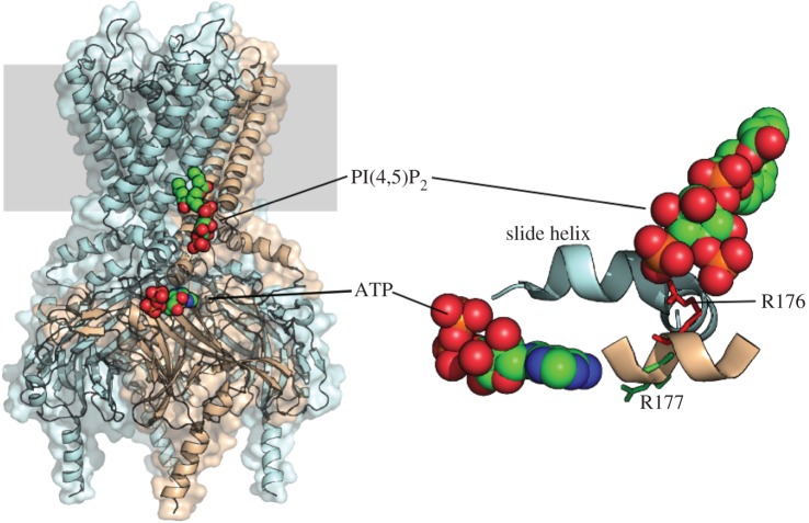 Figure 3.