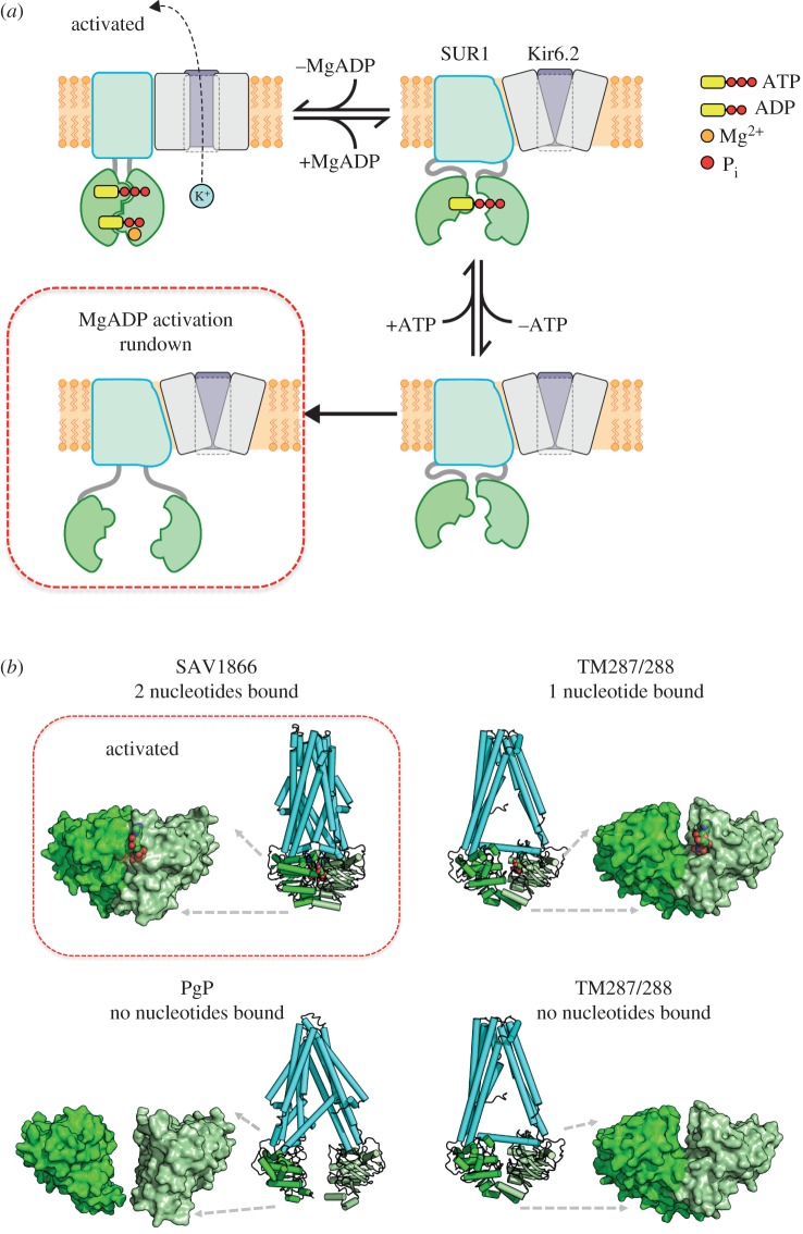 Figure 4.