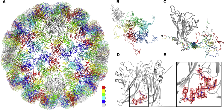 Figure 2