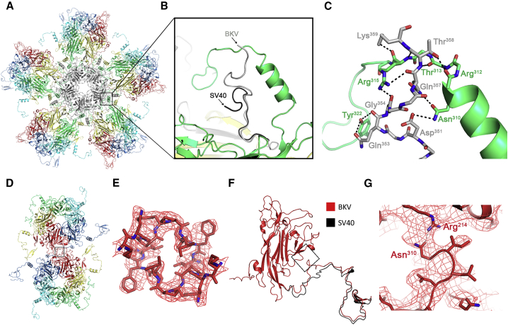 Figure 3