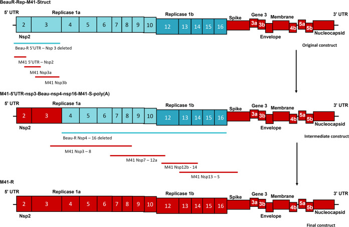 FIG 1