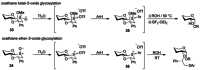 Scheme 11