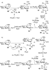 Scheme 19