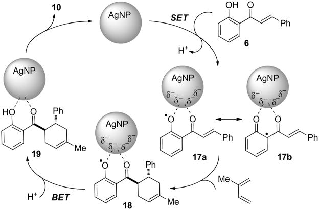 Scheme 5