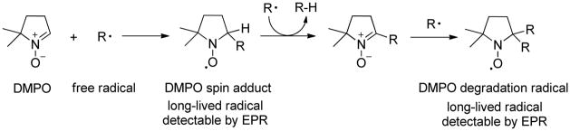 Scheme 3