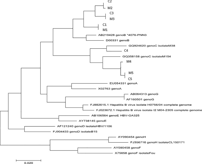 Fig 2