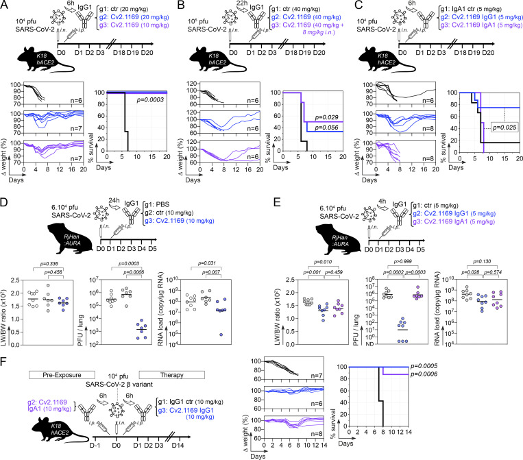 Figure 10.