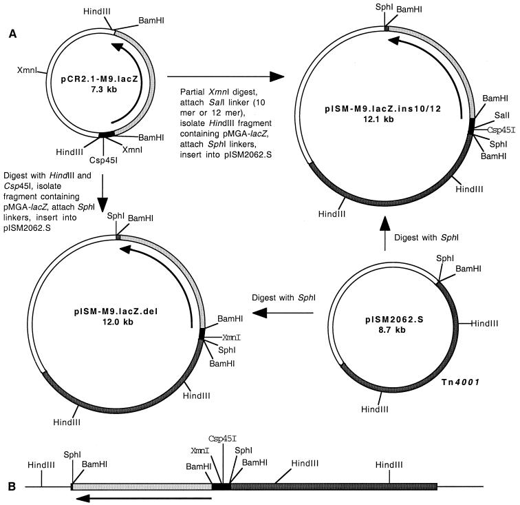 FIG. 2.