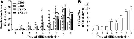 FIGURE 2 