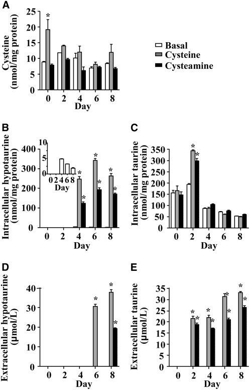 FIGURE 5 