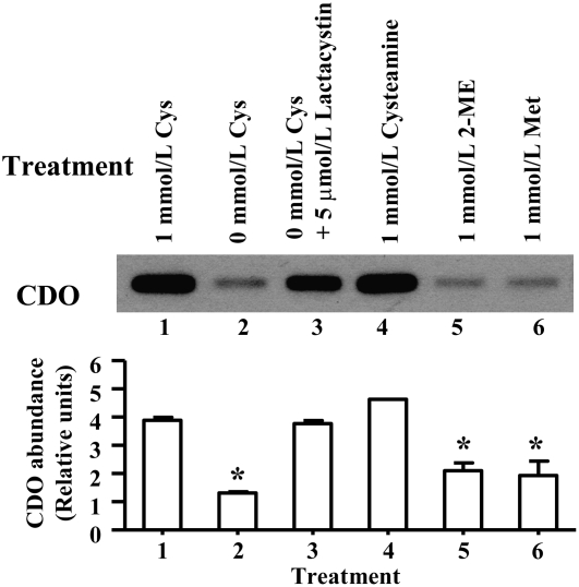 FIGURE 3 