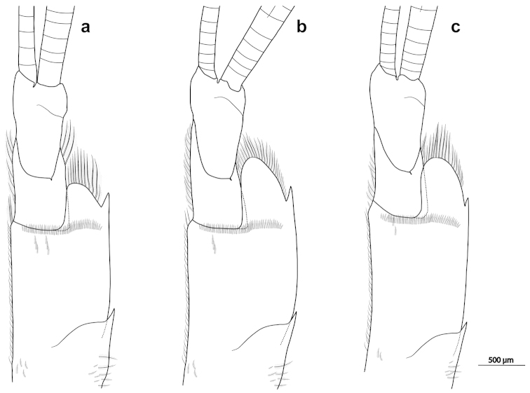 Figure 5.