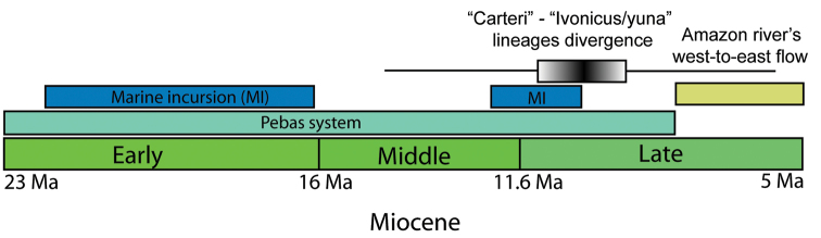 Figure 10.