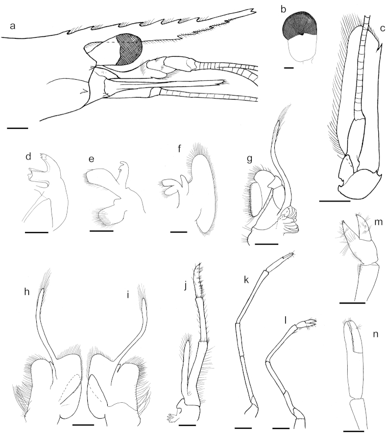 Figure 7.