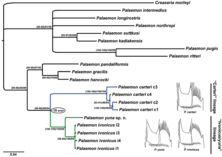 Figure 2.