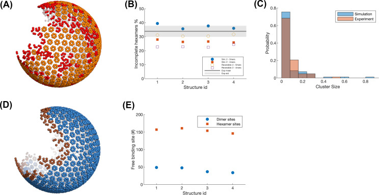 Figure 2—figure supplement 1.