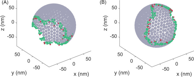 Figure 4—figure supplement 1.