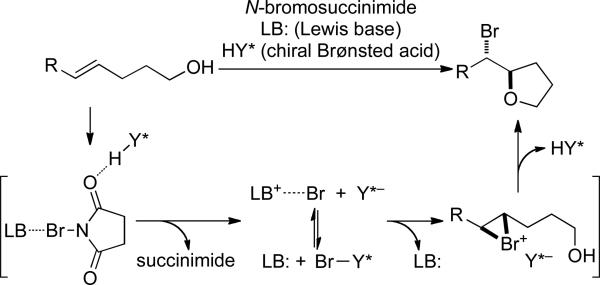 Scheme 1