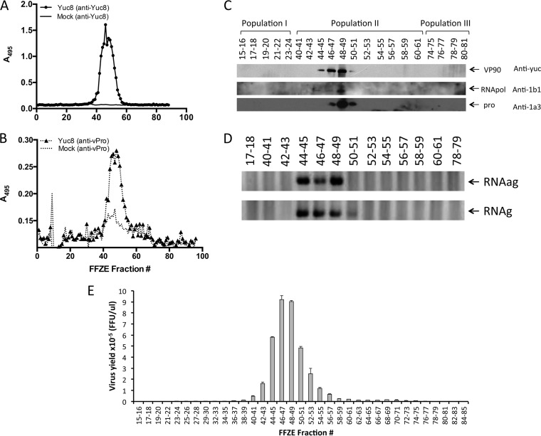 FIG 2