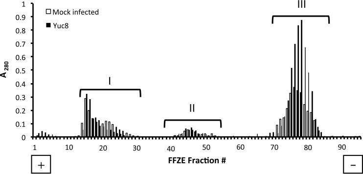 FIG 1