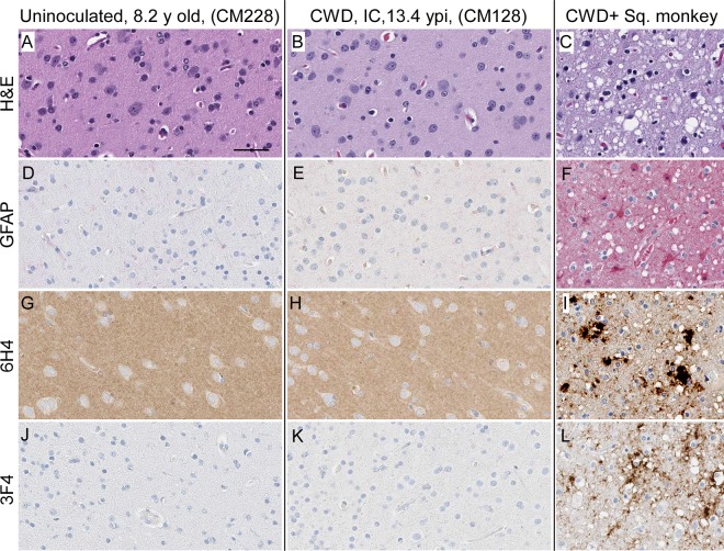 FIG 3