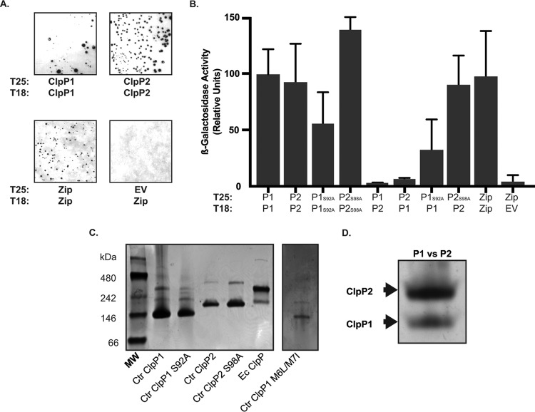 FIG 4