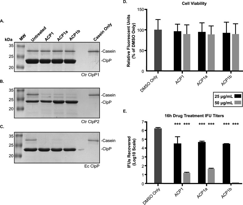 FIG 6