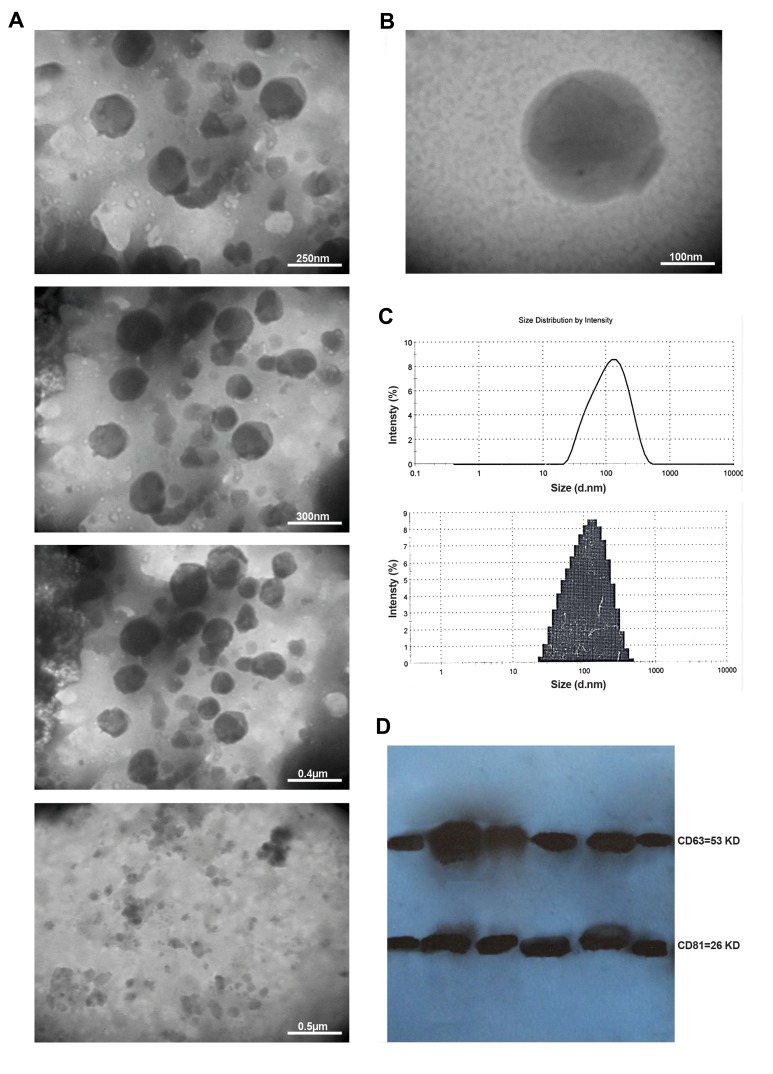 Fig.1