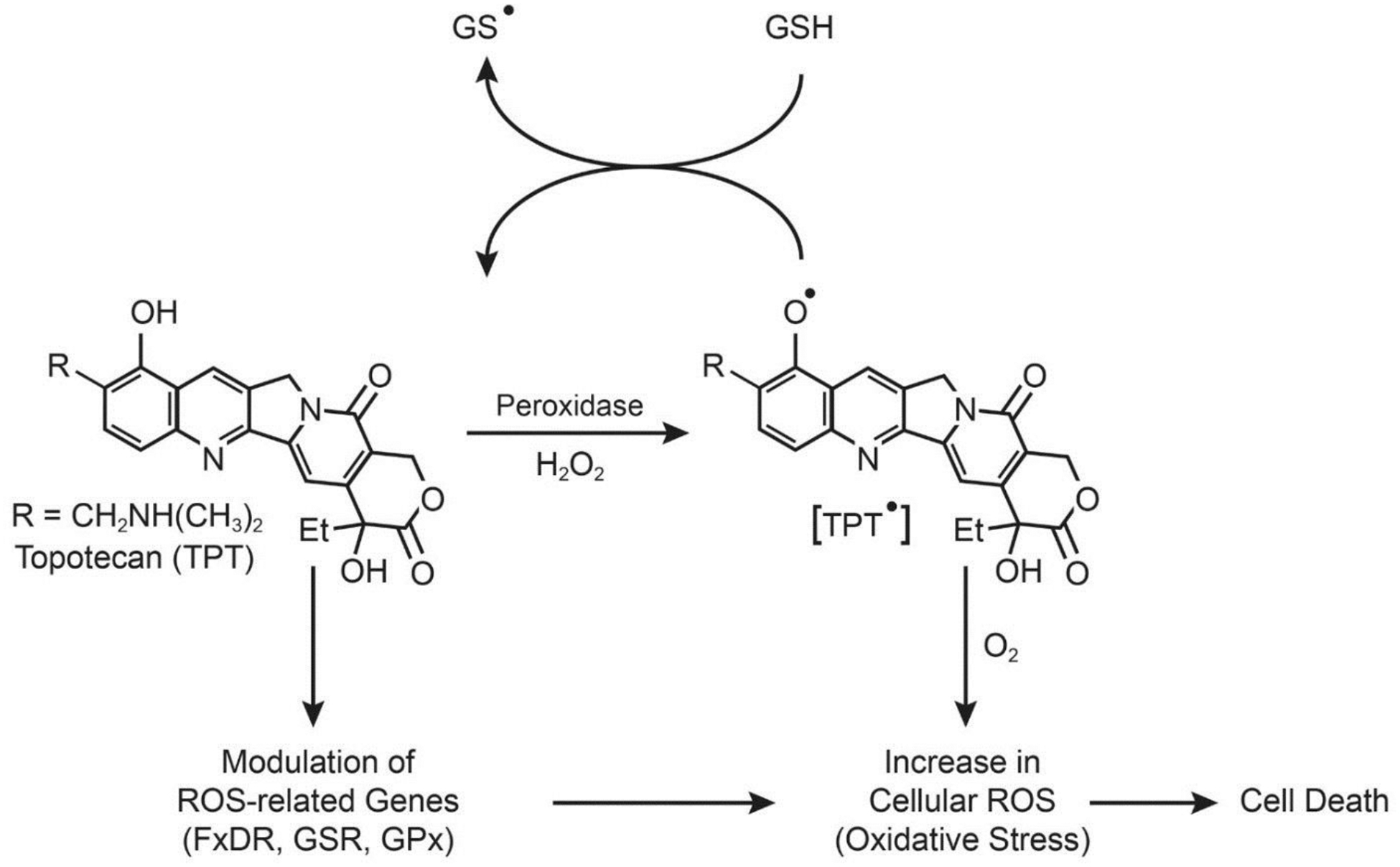 Figure-3: