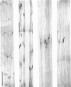 354-1
