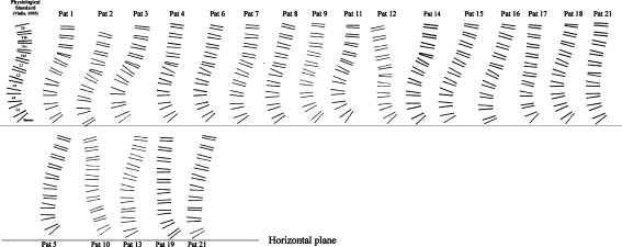 Fig. 9