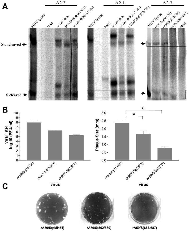 Fig. 5