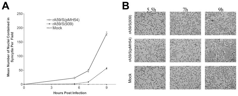 Fig. 7