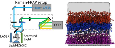 graphic file with name nihms-1020710-f0001.jpg