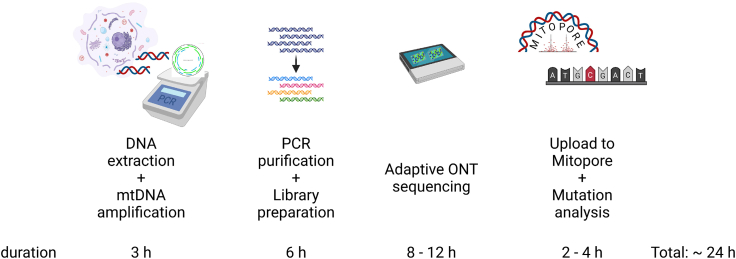 Figure 1