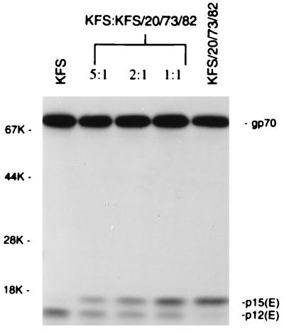 FIG. 4