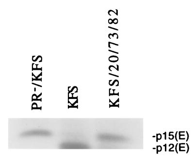 FIG. 3