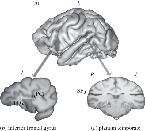 Figure 2.