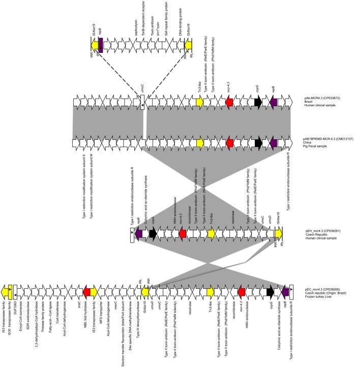 FIG 1